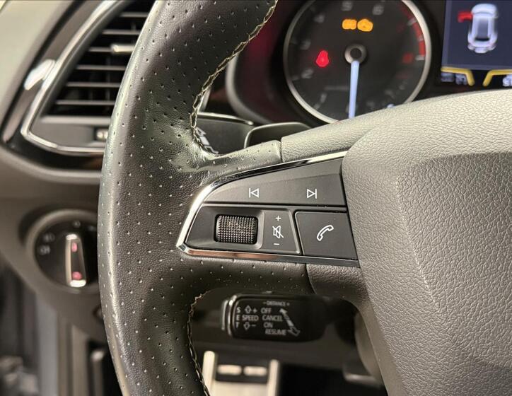 Seat Leon 17