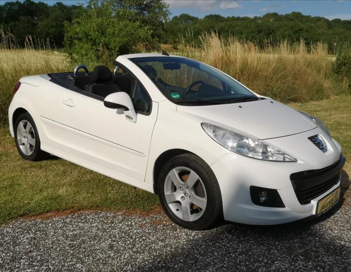 Peugeot 207 48