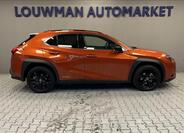Lexus UX 250h 14