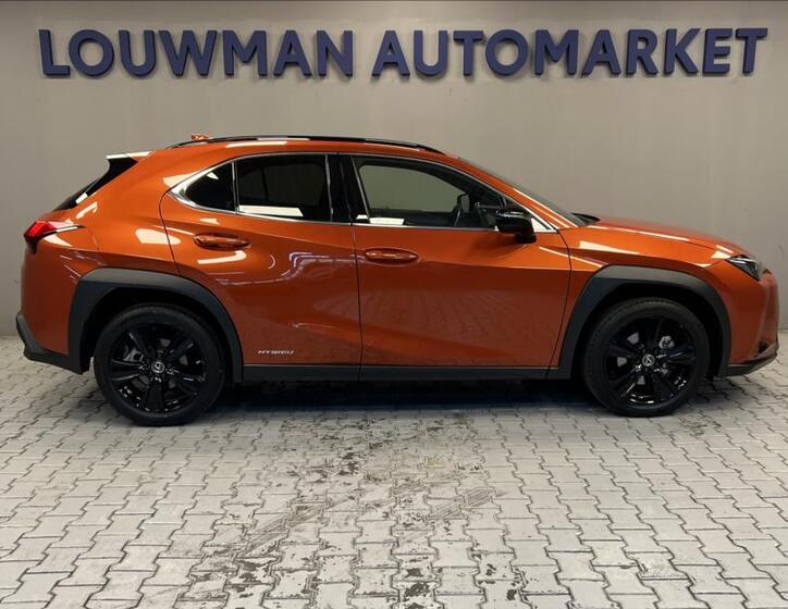 Lexus UX 250h 14