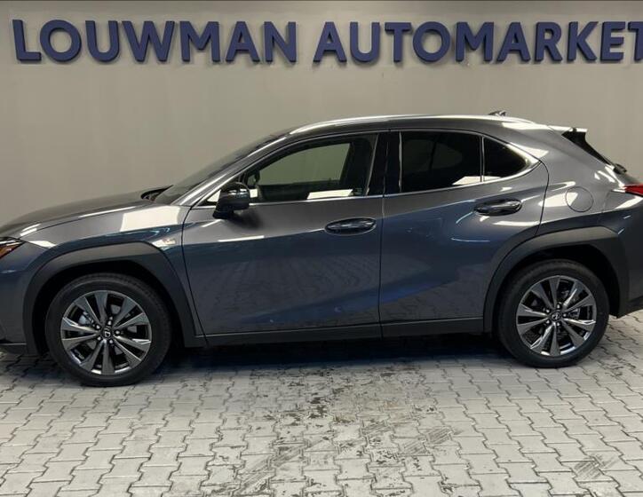 Lexus UX 300h 3