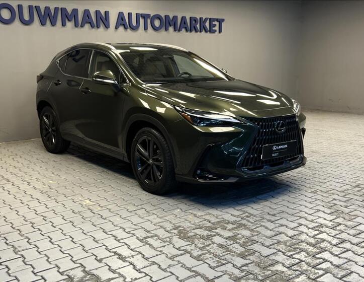 Lexus NX 450h plus 11
