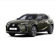 Lexus UX 300h 1