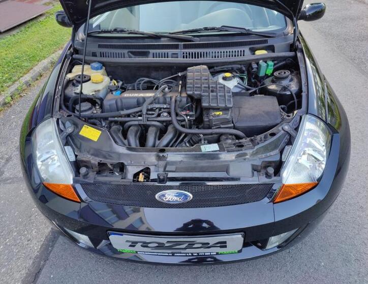 Ford Streetka 21