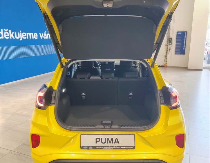 Ford Puma 17