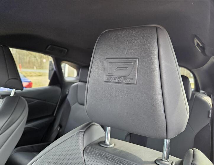 Lexus RX 500h 20