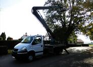 Renault Mascott 12