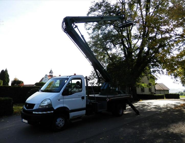 Renault Mascott 12
