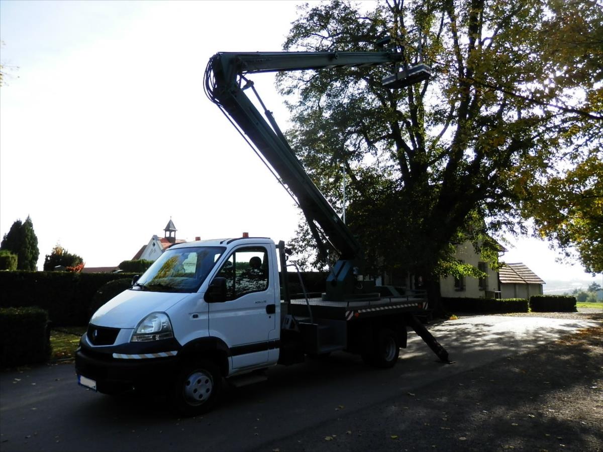 Renault Mascott