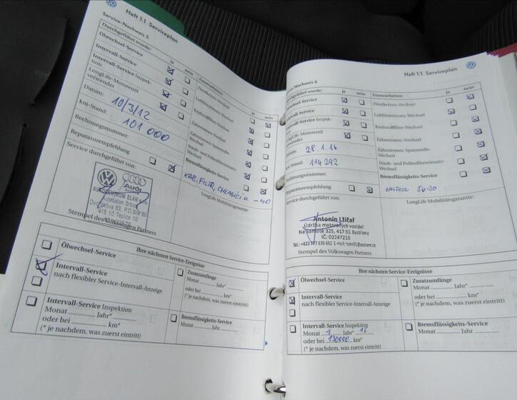 Volkswagen Golf 29
