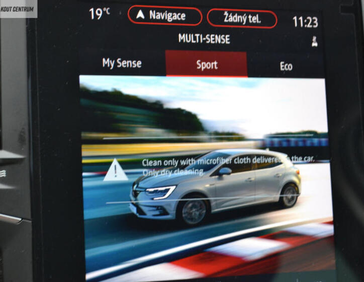Renault Mégane 29