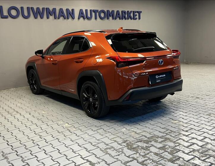 Lexus UX 250h 13