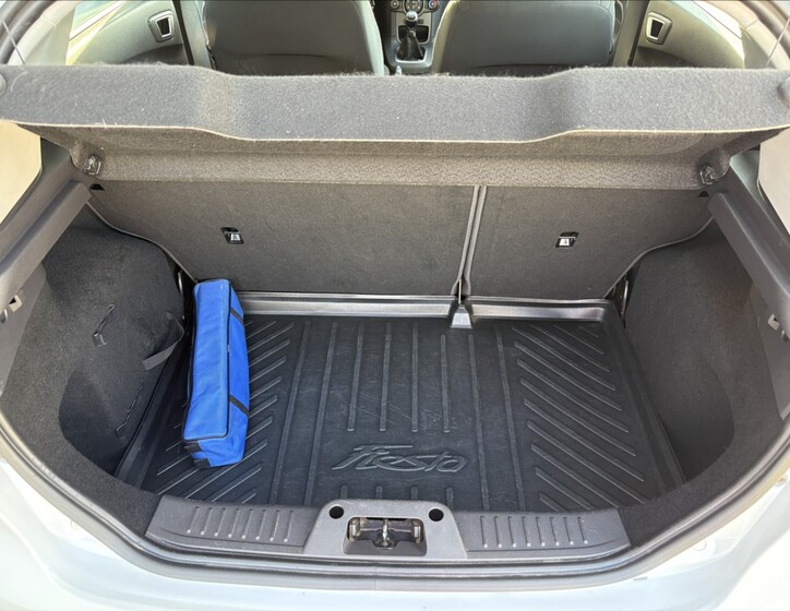 Ford Fiesta 18