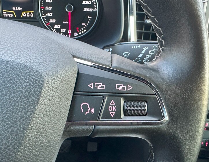 Seat Ateca 24