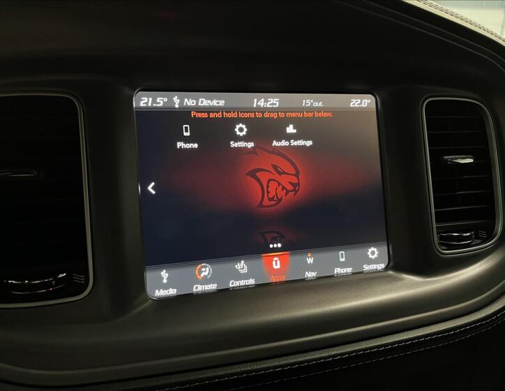 Dodge Charger 10