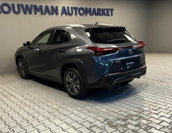 Lexus UX 300h 13