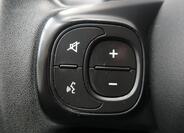 Fiat 500C 19
