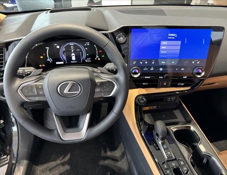 Lexus NX 450h plus 11