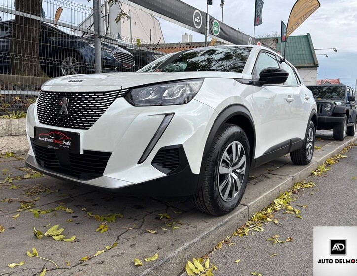 Peugeot 2008 59
