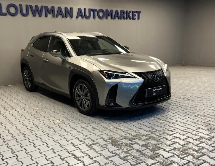 Lexus UX 300h 10