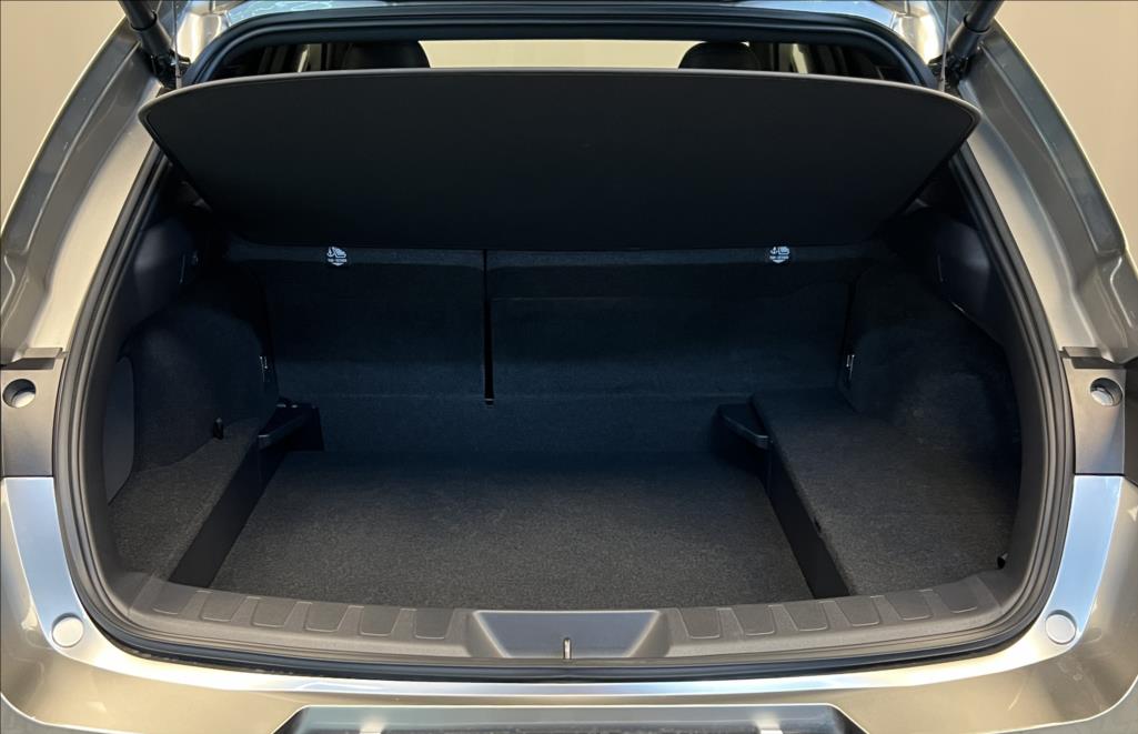 Lexus UX 300h