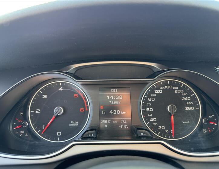 Audi A4 Allroad 17