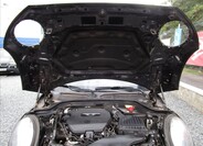 Mini Cooper 38