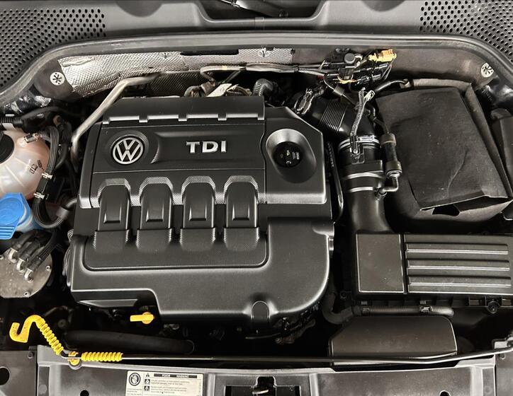 Volkswagen Beetle 29