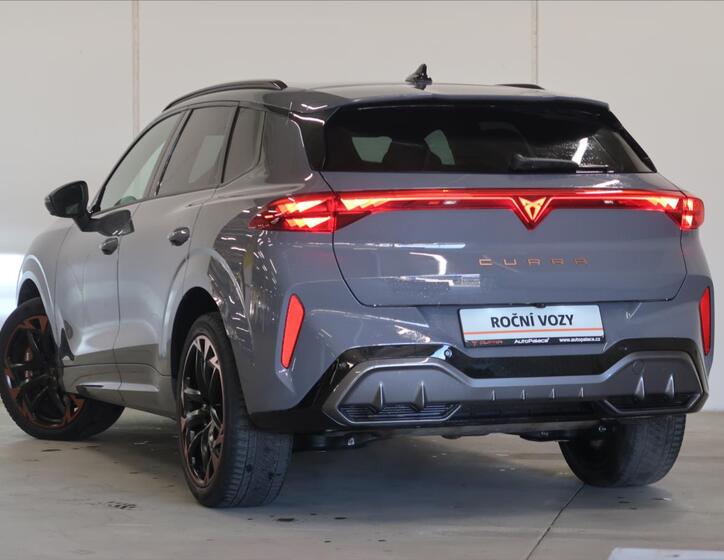 Cupra Terramar 8