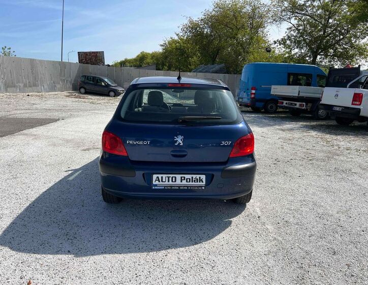 Peugeot 307 13