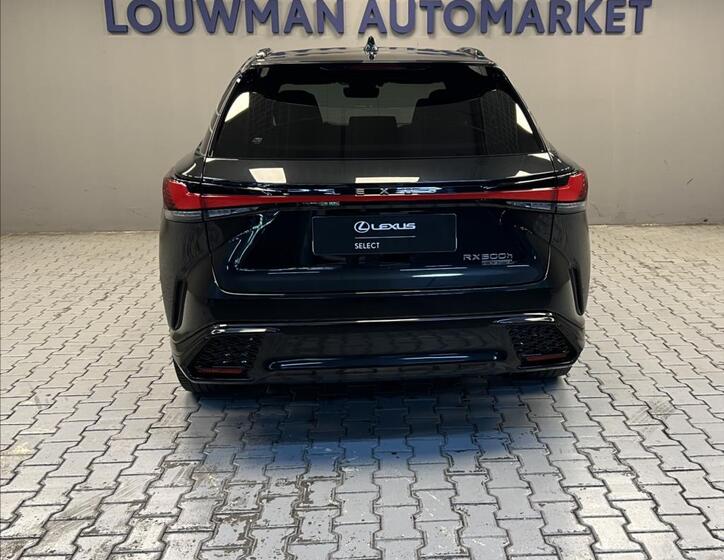 Lexus RX 500h 12