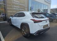 Lexus UX 300h 20