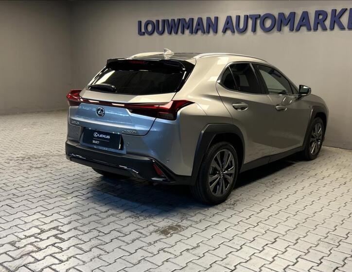 Lexus UX 300h 2