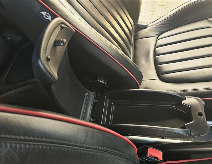Mini Paceman 31