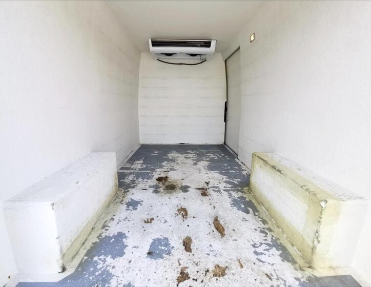 Fiat Ducato 14