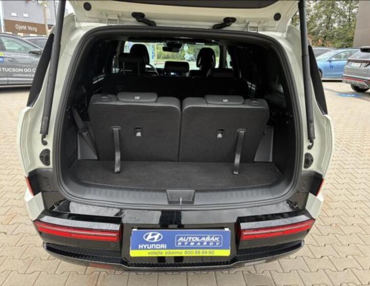 Hyundai Santa Fe 46