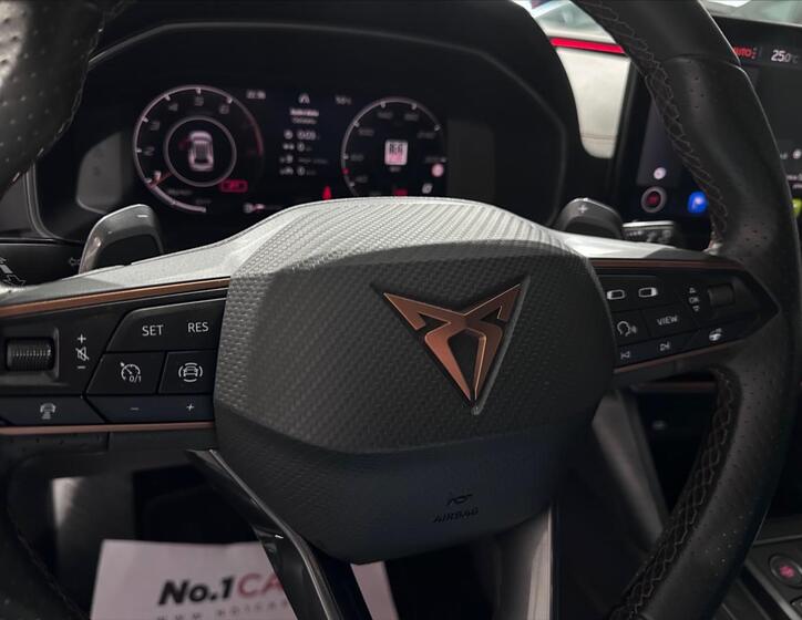 Cupra Formentor 13