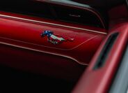 Ford Mustang 31