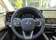 Lexus RX 450h 21