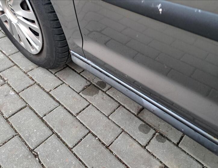 Volkswagen Golf Plus 18