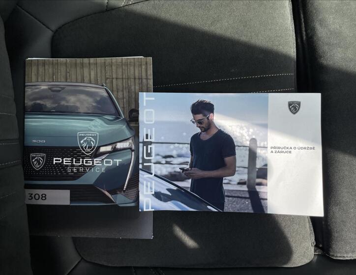 Peugeot 3008 19
