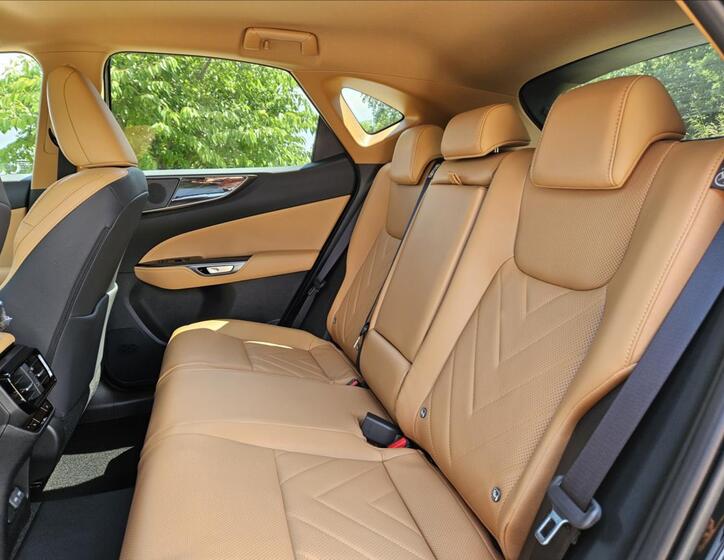 Lexus NX 450h plus 24