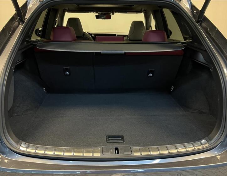 Lexus RX 500h 8