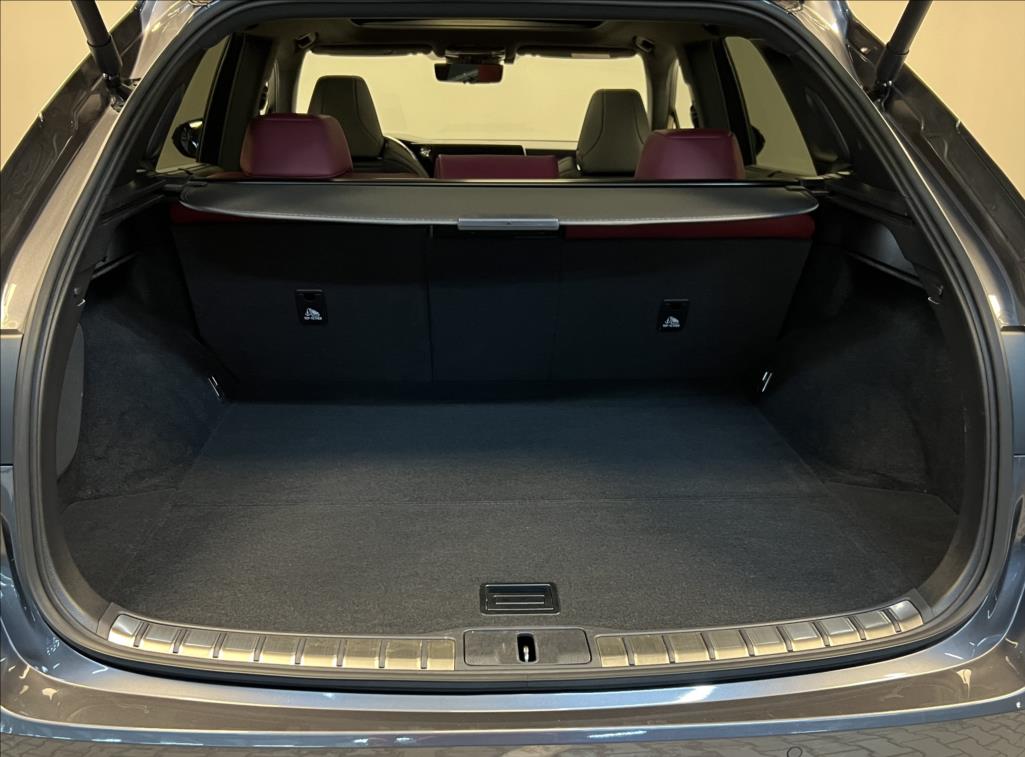 Lexus RX 500h