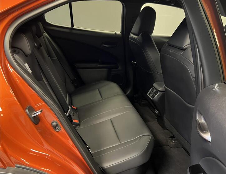 Lexus UX 250h 10