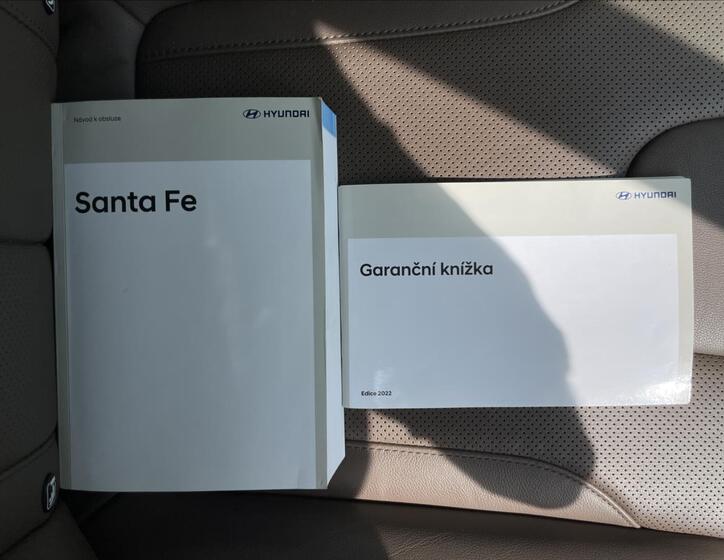 Hyundai Santa Fe 19