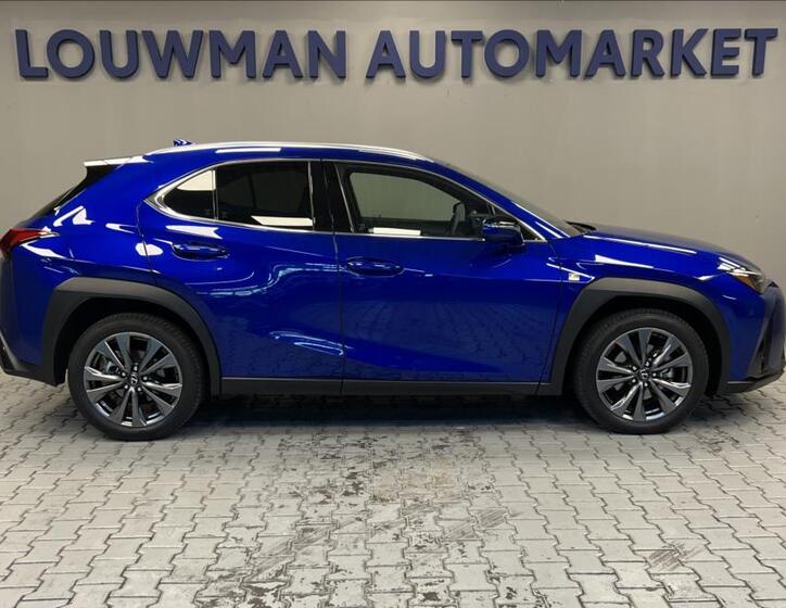Lexus UX 300h 14