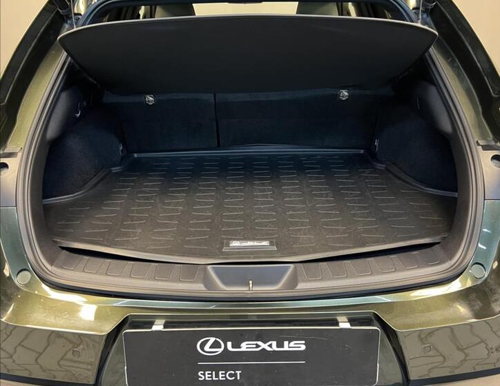 Lexus UX 250h 9