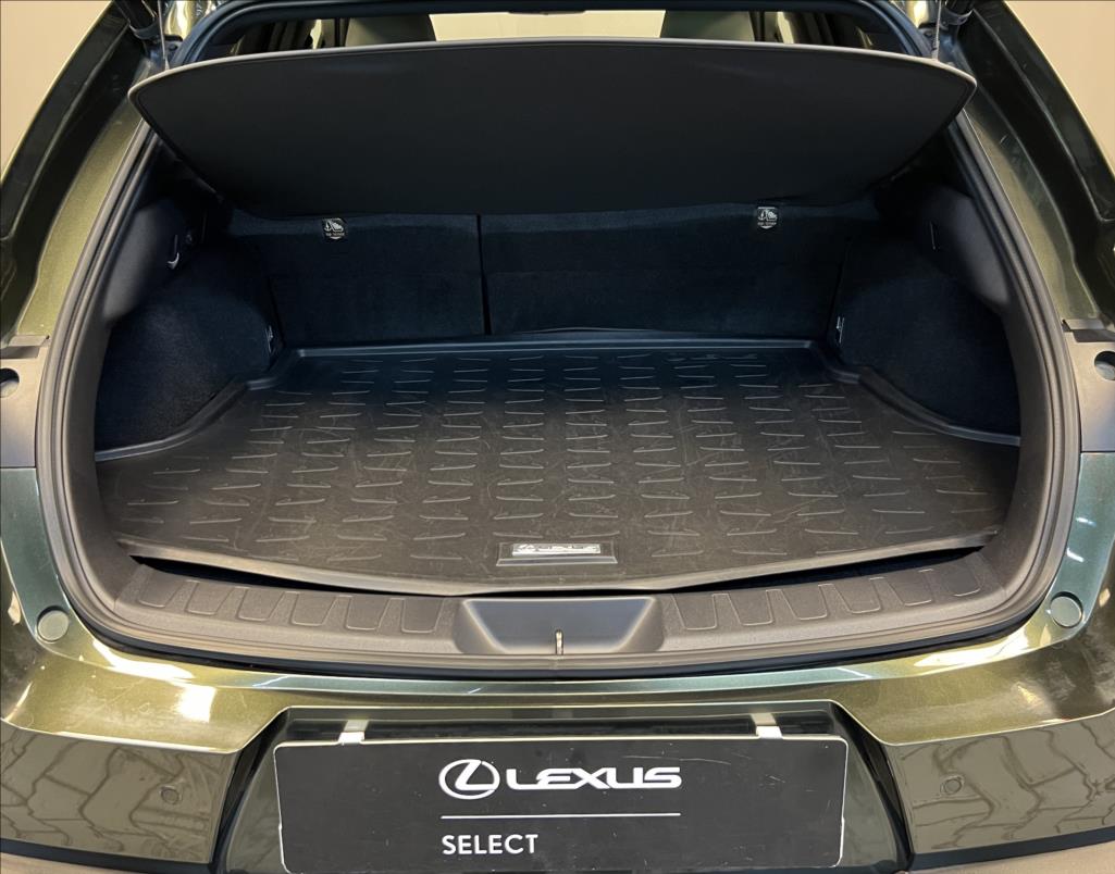 Lexus UX 250h