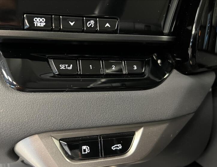Lexus RX 450h plus 17